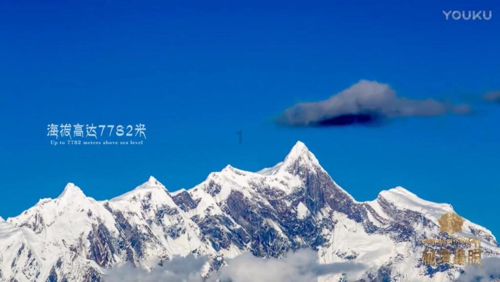肖战获得《学习强国》肯定:认识比较理性